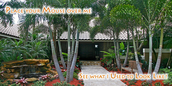Bamboo Landscaping - South Florida's premire residential landscapers for 20 years!